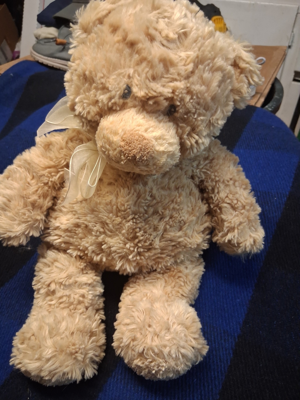 Baby GUND Soothing Sounds Teddy Bear Plush (Model #46064)